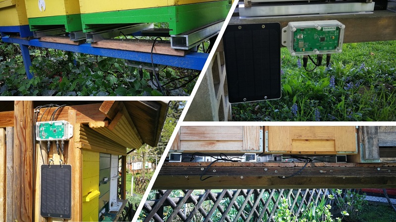 Skala i części ula